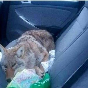 Meet your Posher, Kaylee